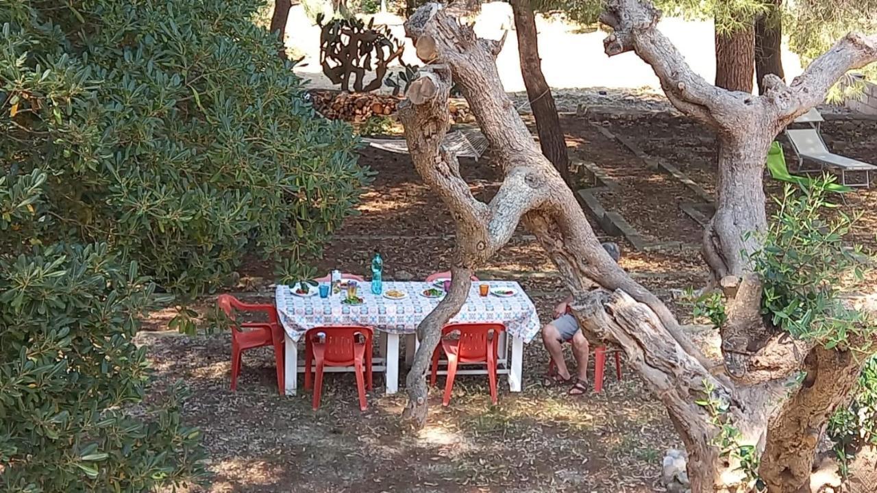 Villa Maria In Puglia Con Pineta Vicino Al Mare Torre Suda Kültér fotó